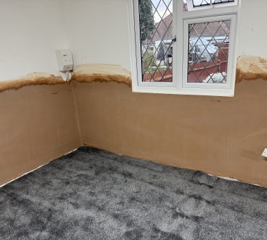 Treated walls under a window