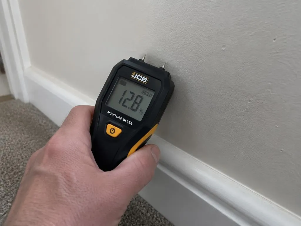 Surveyor checking a wall with a moisture meter