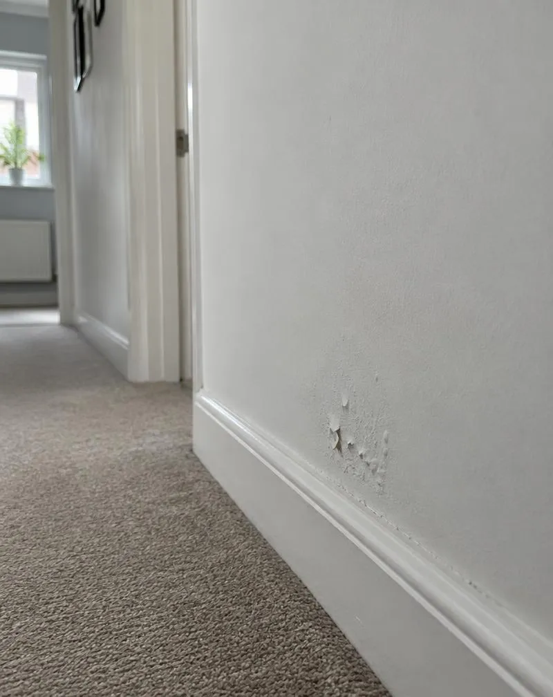 Paint peeling near a window and radiator
